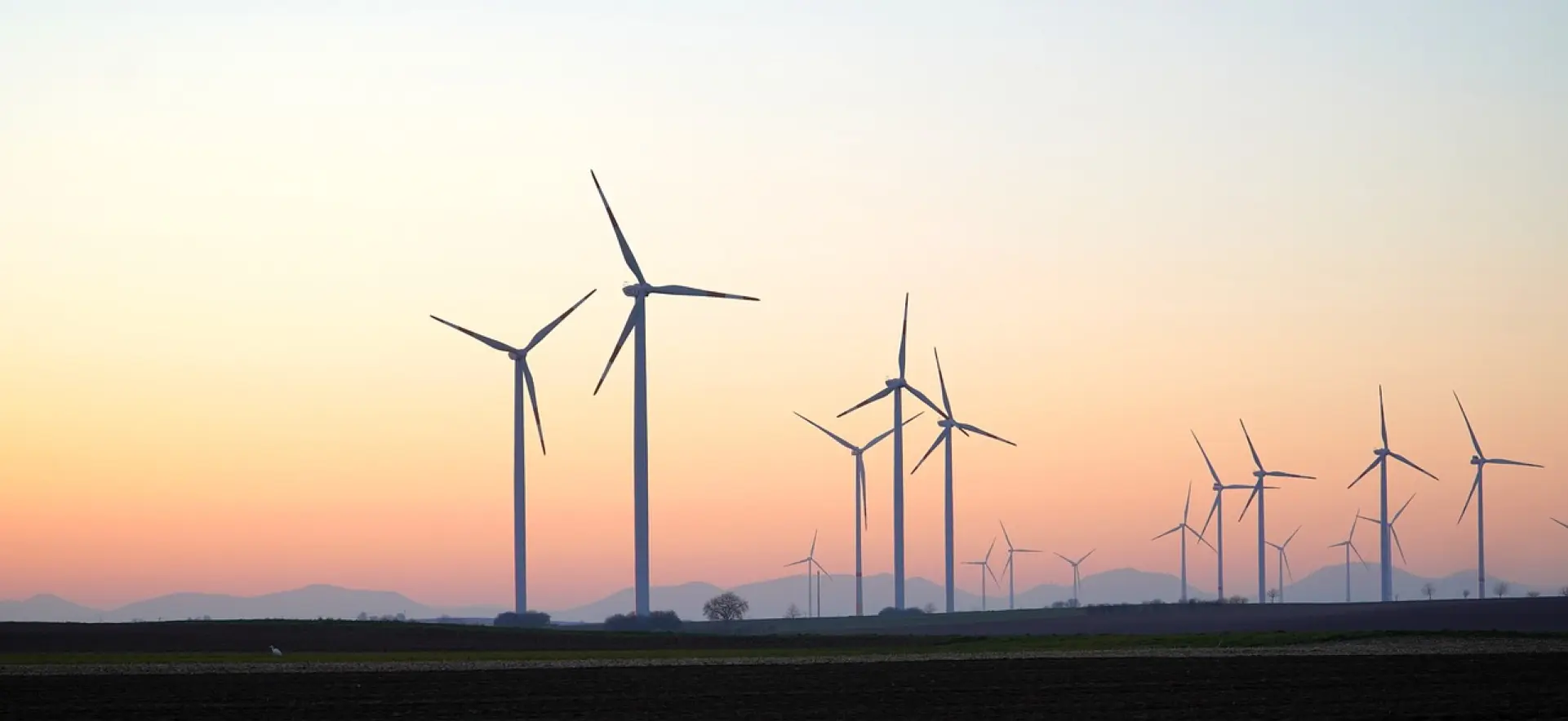 pinwheels, wind power, wind energy